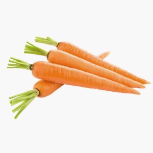 Fresh & healthy food dummy